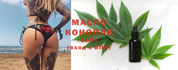 твердый Краснослободск