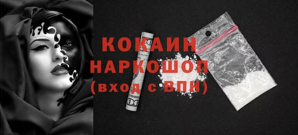 твердый Краснослободск