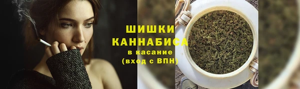 твердый Краснослободск