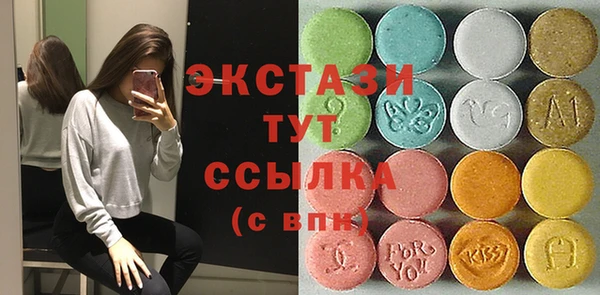 твердый Краснослободск