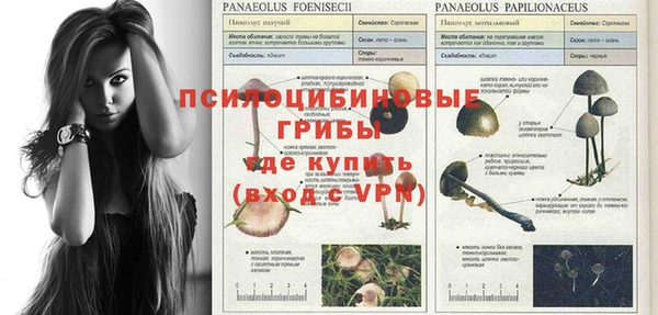 твердый Краснослободск