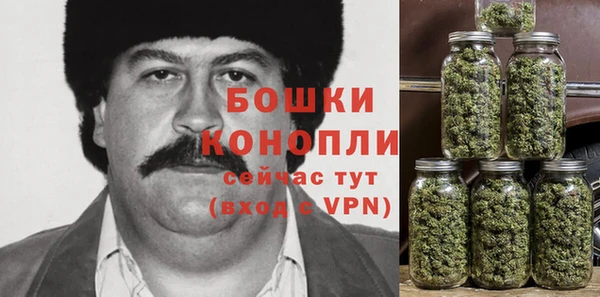 твердый Краснослободск