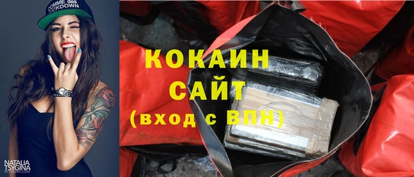 стафф Корсаков