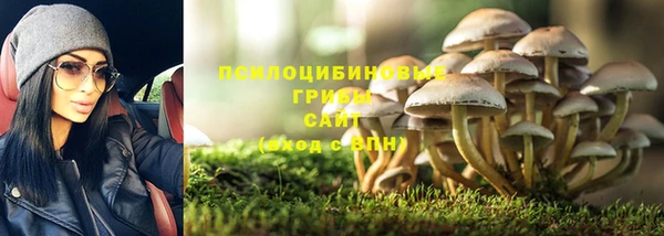 твердый Краснослободск